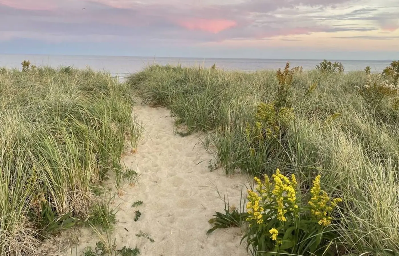 Featured image for “Public Dune Walkway Assessment”
