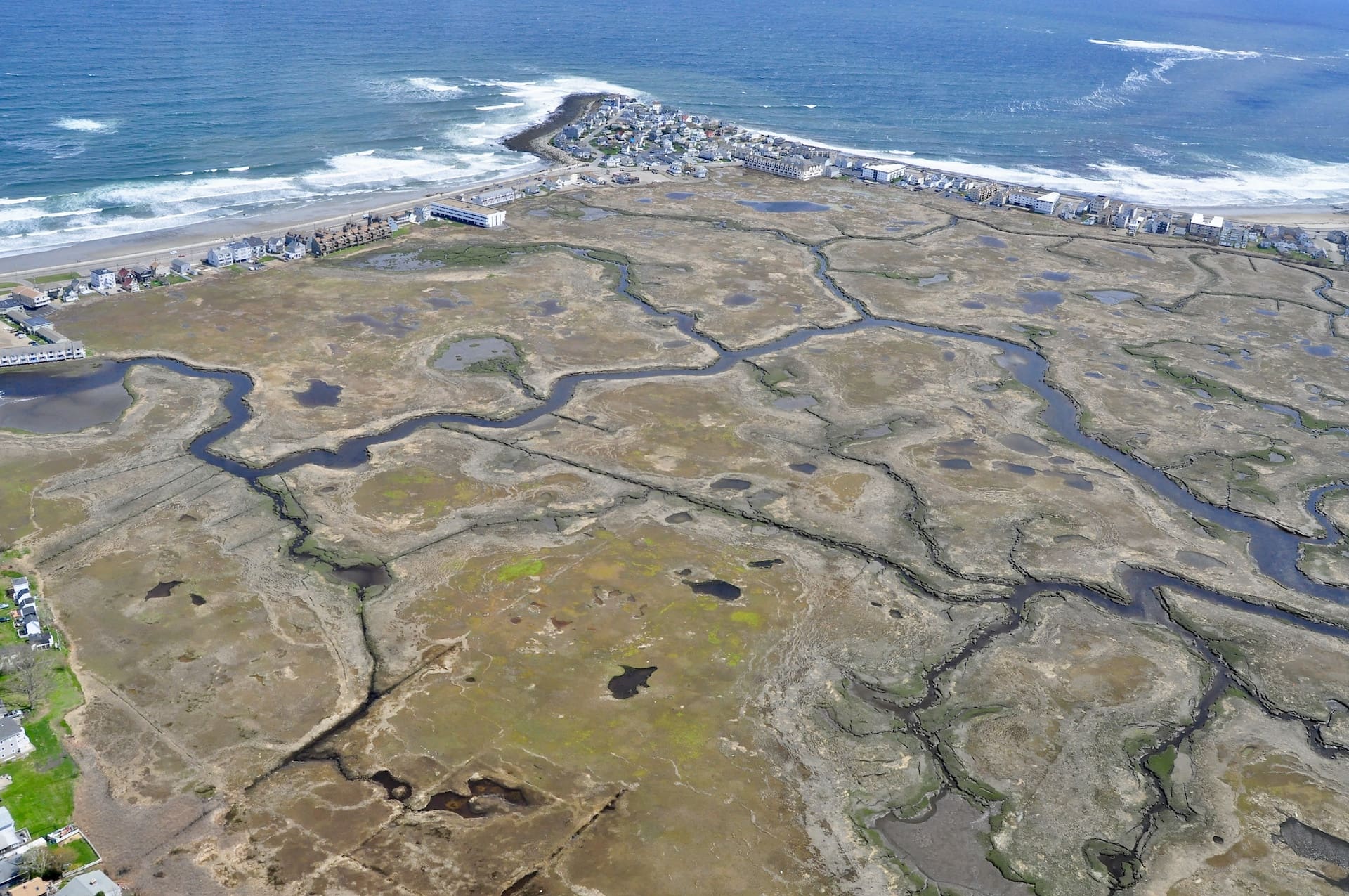 Featured image for “Hampton-Seabrook Estuary Collaborative”