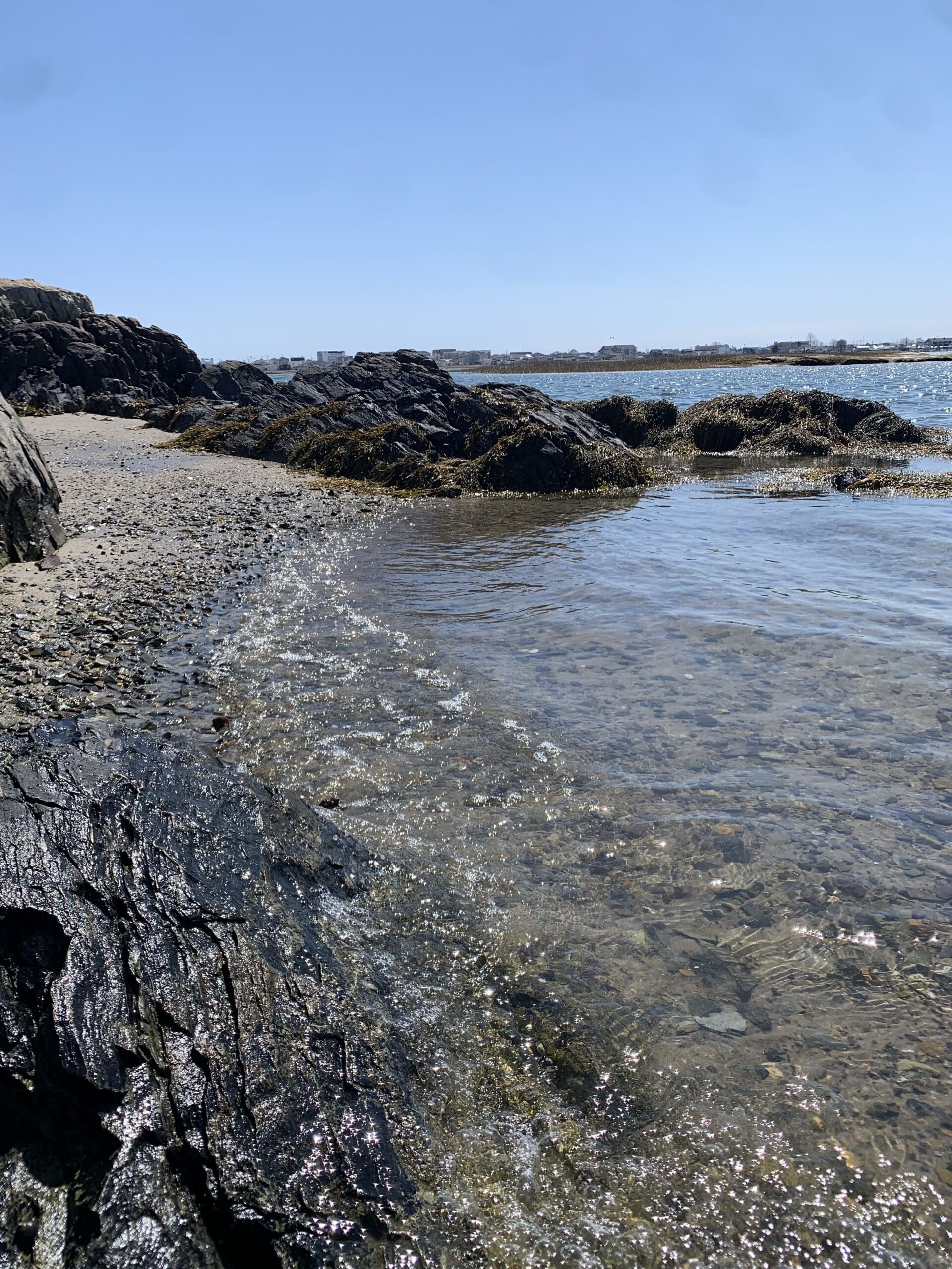 Featured image for “Salt Marsh Conservation Toolkit”