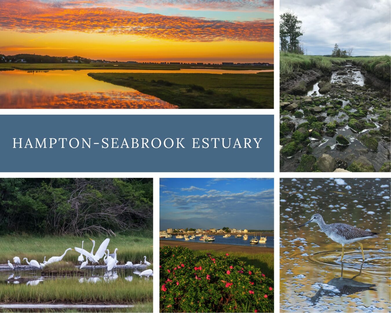 Featured image for “National Estuaries Week: Puzzle Competition”